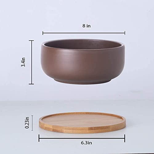 EPFamily 8 Inch Succulent Planter with Drainage Hole and Saucer for Plants Round Shallow Bonsai Planter Pot Decorate Home Office and Indoor