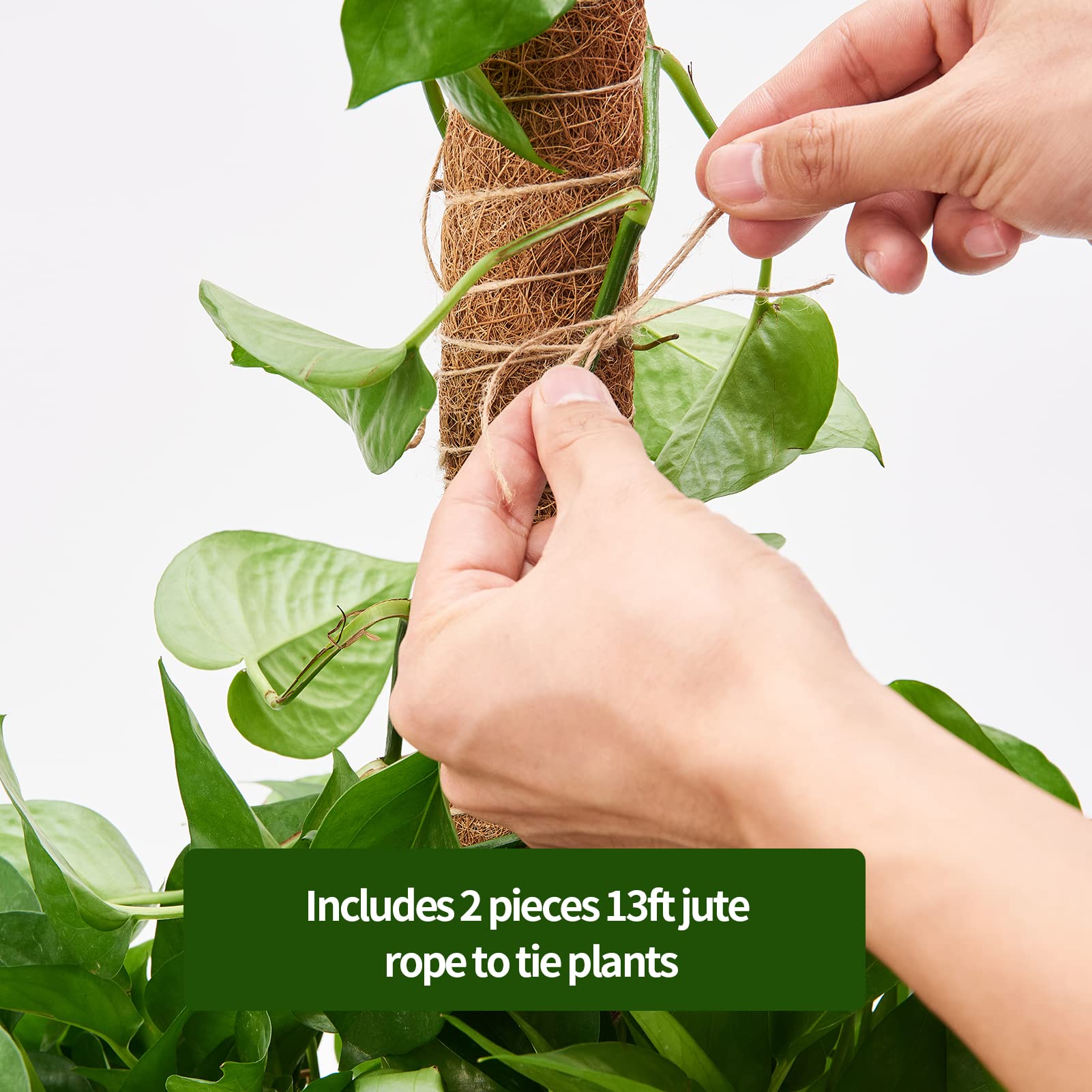 Eibikdi 6 Pcs Moss Pole Extending to 68 Inches for Plants Monstera, Plant Support Stakes for Indoor Climbing Plants Grow Upwards, with 65ft Twist Ties, 13ft Jute Rope, 6.5ft Hook-and-Loop Strip