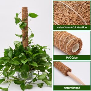 Eibikdi 6 Pcs Moss Pole Extending to 68 Inches for Plants Monstera, Plant Support Stakes for Indoor Climbing Plants Grow Upwards, with 65ft Twist Ties, 13ft Jute Rope, 6.5ft Hook-and-Loop Strip