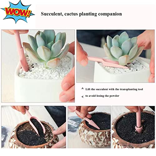 Succulent Plant Tools Set,Indoor Plants Tool Kit,Repotting Mat,Fairy Gardening Hand Tools,Mini Garden Planting Watering Tool,Flower Pot Hole Mesh Pad for Houseplants,Cactus,Bonsai,Terrarium (Set A)