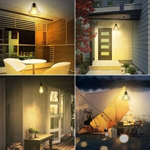 GOSUNWEY Solar Pendant Lights Outdoor Indoor with Remote, Chicken Coop Lights Solar Powered Shed Light with ON Off Switch,Solar Indoor Lights for House Garage Greenhouse Patio Barn Storage