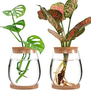 biggun plants propagation station - desktop plant terrarium glass hydroponic vases water plant propagating jars gardening gifts for women mom plant lovers (2pcs, separated style)