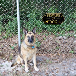 Beware of Dog Sign with Stake Warning Signs for Property Guard Dog Sign Dog Warning Signs Beware of Dog German Shepherd Sign Not Responsible Warning Caution Dog Sign for Outdoor (Stylish Style)