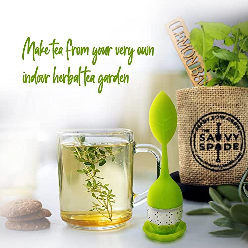 Tea Seeds Herb Garden Kit Indoor – Non-GMO Heirloom Chamomile, Lavender, Mint, Lemon Balm Herbal Tea Seeds for Planting – Tea Making Kit w/Soil Amendments, Markers, Infuser – Gardening Gifts