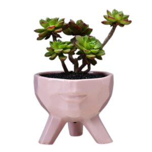 yongyan face shape flower pot statue decoration ceramics garden head planters containers pot bookshelf office desktop decor (pink)