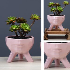 YONGYAN Face Shape Flower Pot Statue Decoration Ceramics Garden Head Planters Containers Pot Bookshelf Office Desktop Decor (Pink)