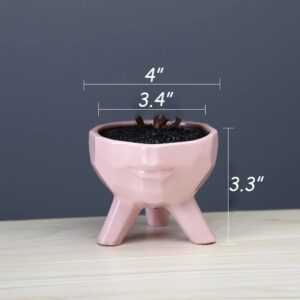 YONGYAN Face Shape Flower Pot Statue Decoration Ceramics Garden Head Planters Containers Pot Bookshelf Office Desktop Decor (Pink)