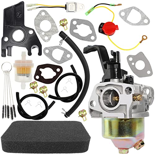 LIYYDS Carburetor Kit Compatible with Cummins Onan HomeSite Power De-Walt DG2900 DG3000 2000 2200 2400 2900 3000 3500 Watt DPD3800 DPE3800 6.5HP 5.5HP 163CC 196CC Pressure Gas Generator