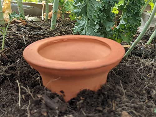 Clay Olla - Quart Sized - Ideal for Elevated Garden Planters, Grow Bags or 14" - 18" Pots