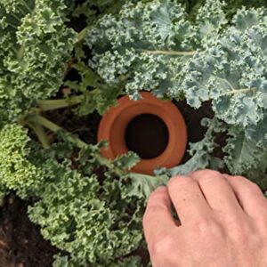 Clay Olla - Quart Sized - Ideal for Elevated Garden Planters, Grow Bags or 14" - 18" Pots