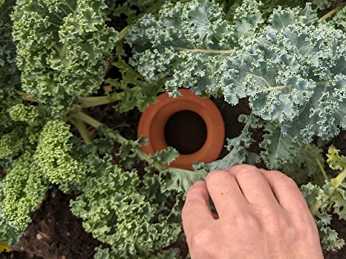 Clay Olla - Quart Sized - Ideal for Elevated Garden Planters, Grow Bags or 14" - 18" Pots