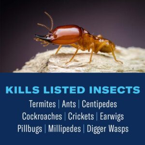 BioAdvanced Termite Killer, Granules, 9 LB