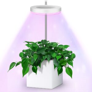 ewonlife grow lights for indoor plants full spectrum, small plant lights lamp, height adjustable grow light strip, automatic timer, 3 spectrum modes with white, blue, red, for house plants