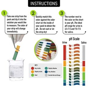 Litmus pH Test Strips for Urine and Saliva Testing (pH 4.5-8.0), 300 Strips | Monitor Your Body's pH in Seconds