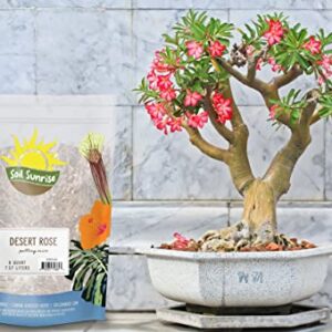 Desert Rose Potting Soil Mix (8 Quarts), Hand Blended Small Batch Soil Blend for Desert Rose Plant