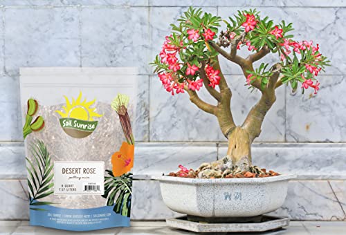 Desert Rose Potting Soil Mix (8 Quarts), Hand Blended Small Batch Soil Blend for Desert Rose Plant