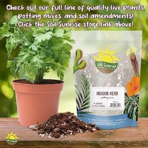 Philodendron Plant Potting Soil Mix (8 Quarts), Special Blend for Heart Shape Philodendron Plants Et Al.