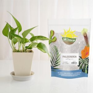 Philodendron Plant Potting Soil Mix (8 Quarts), Special Blend for Heart Shape Philodendron Plants Et Al.