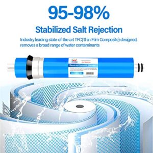 RO Membrane Replacement 75G Reverse Osmosis Membrane Reverse Osmosis Systerm Drinking Water Filtration System for Undersink