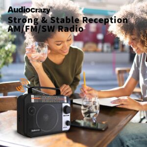 AM/FM/SW1/SW2 Radio Transistor Radio AC or Battery Operated with Best Reception Big Speaker and Precise Tuning Knob with AUX in & 3.5mm Earphone Jack