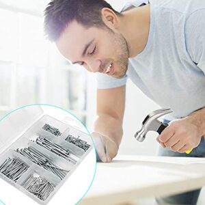 376pcs Hardware Nails Assortment Kit and 8oz Small Claw Hammer,Mini Hammer with Anti-Slip Handle,Nails for Hanging Pictures,Maximum Length 2 Inches Nails,Finishing Nails for Household and DIY