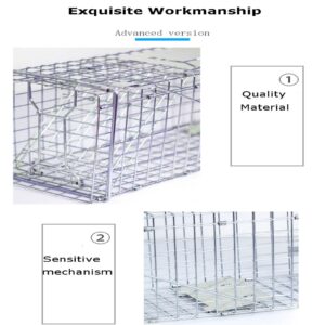 Autofather Humane Rat Trap Live Mouse Cage Trap, Animal Trap Cage (Easy to Set Humane Trap for Rabbits, Cats and Similar Sized Animals) - 24 in x 7.48 in x 8.26 in