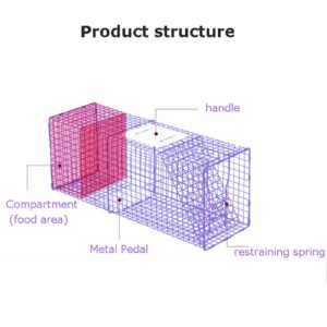 Autofather Humane Rat Trap Live Mouse Cage Trap, Animal Trap Cage (Easy to Set Humane Trap for Rabbits, Cats and Similar Sized Animals) - 24 in x 7.48 in x 8.26 in