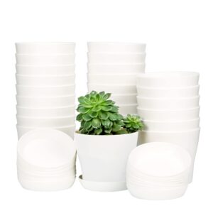 tdhdike 25 pcs plastic planters indoor flower plant pots, mini flower seedlings nursery pot with pallet, modern decorative gardening containers (white, 25)