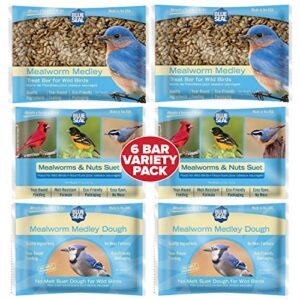 blue seal mealworm medley suet cakes for wild birds - no mess suet feed, food for woodpeckers, cardinals, siskins, sparrows & more - suet feeder, bird seed cakes (variety pack of 6)