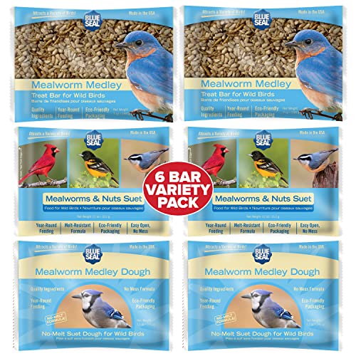 Blue Seal Mealworm Medley Suet Cakes for Wild Birds - No Mess Suet Feed, Food for Woodpeckers, Cardinals, Siskins, Sparrows & More - Suet Feeder, Bird Seed Cakes (Variety Pack of 6)