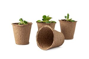 3 inch starter pots - 20 pack of biodegradable containers - herbs, trees, vegetables, bonsai, fruit seedling starter pots