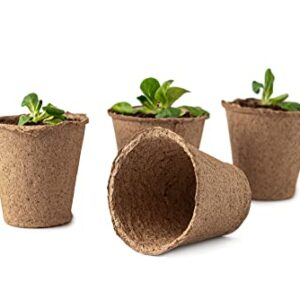 3 Inch Starter Pots - 20 Pack of Biodegradable Containers - Herbs, Trees, Vegetables, Bonsai, Fruit Seedling Starter Pots