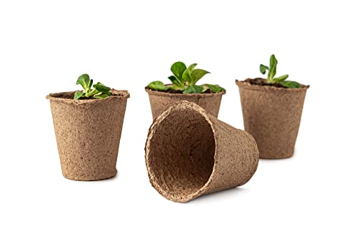 3 Inch Starter Pots - 20 Pack of Biodegradable Containers - Herbs, Trees, Vegetables, Bonsai, Fruit Seedling Starter Pots