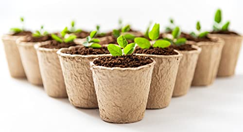 3 Inch Starter Pots - 20 Pack of Biodegradable Containers - Herbs, Trees, Vegetables, Bonsai, Fruit Seedling Starter Pots