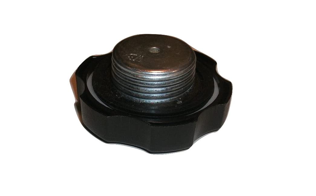 Gas Fuel Tank Cap For Craftsman Snow Blower 247.886400 31AS5BHE799