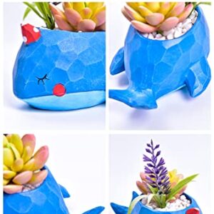 Cute Whale Flower Pot with Drainer Garden Flower Pot Resin Succulent Potted Bonsai Plant Stand Home Desk Mini Ornaments Balcony Landscape Ideas Blue Whale
