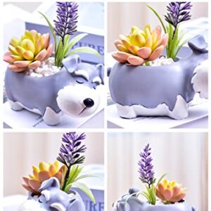 Cute Schnauzer Puppy Sleeping Pet Flowerpot with Drainer Garden Flowerpot Resin Succulent Potted Bonsai Plant Stand Home Desk Mini Ornaments Balcony Gardening Flowerpot Does Not Contain Plants