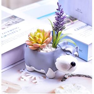 Cute Schnauzer Puppy Sleeping Pet Flowerpot with Drainer Garden Flowerpot Resin Succulent Potted Bonsai Plant Stand Home Desk Mini Ornaments Balcony Gardening Flowerpot Does Not Contain Plants