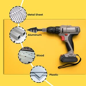 Lichamp Unibit Step Drill Bit for Metal, Genuine HSS M2 Impact Wrench Stepper Bit for Hard Metal Heavy Duty, 19 Sizes from 3/16" to 1-3/8", Dual Straight Grooved with 1/2" Square Drive, A5BK