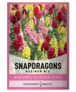 snapdragon seeds for planting (maximum mix snap dragon) annual flower heirloom, non-gmo variety- 400mg seeds great for summer seeds for gardening flowers gardens by gardeners basics