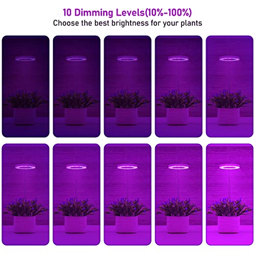 Tsothea Plant Grow Light, Full Spectrum LED Grow Lights for Indoor Plants, 3 Colors Plant Halo Light, Height Adjustable Small Grow Light with Auto On/Off Timer, 10 Dimmable Levels Growing Lamps
