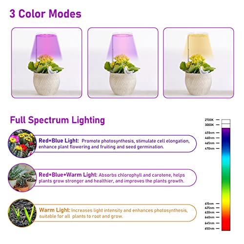 Tsothea Plant Grow Light, Full Spectrum LED Grow Lights for Indoor Plants, 3 Colors Plant Halo Light, Height Adjustable Small Grow Light with Auto On/Off Timer, 10 Dimmable Levels Growing Lamps