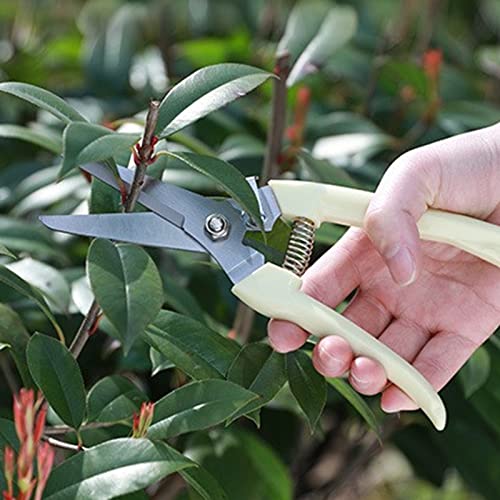 MEPEREZ garden scissors, pruning shears for gardening, lightweight plant clippers, for hedge, bonsai, floral, small stem, orchard and vegetable, 1 pack