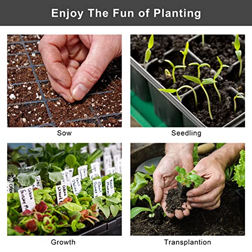 ELCOHO 6 Pack Seed Starter Tray Kit 40 Cells Seedling Trays with Humidity Dome and Base Mini Propagator Plant Nursery Pots Total 240 Cells for Greenhouse Plants Growing, Black