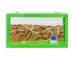 anthouse - natural sand ant farm | 3d green starter kit 7.87 x 3.94 x 3.94 in
