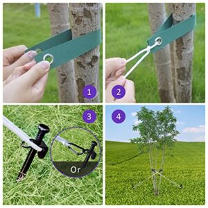 Heavy Duty Steel Tree Stake Kits,Tree Staking and Supports Kits for Young Trees Against Bad Weather, Include 3 PCS Tree Straps for Staking, 3 PCS 11.8 Inch Tree Stakes and 31.2 Feet Rope for Anchoring