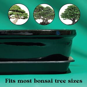 Bonsiac Mini Bonsai Japanese Style Bowl Planters with Seeping Plate - Shallow Planter Pots with Drainage Tray and Terra Cotta Glazed Finish