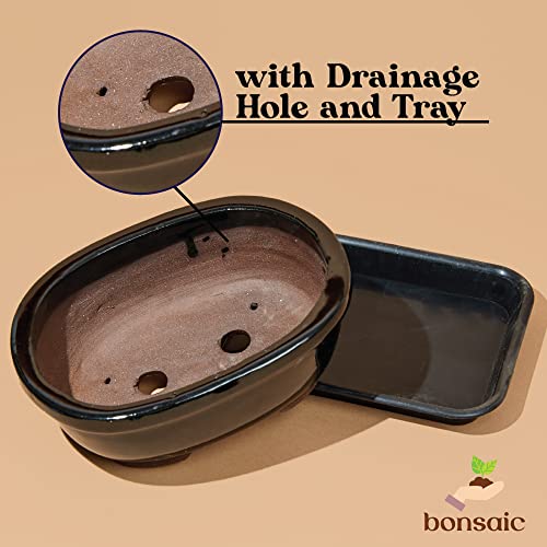 Bonsiac Mini Bonsai Japanese Style Bowl Planters with Seeping Plate - Shallow Planter Pots with Drainage Tray and Terra Cotta Glazed Finish