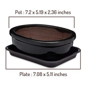 Bonsiac Mini Bonsai Japanese Style Bowl Planters with Seeping Plate - Shallow Planter Pots with Drainage Tray and Terra Cotta Glazed Finish