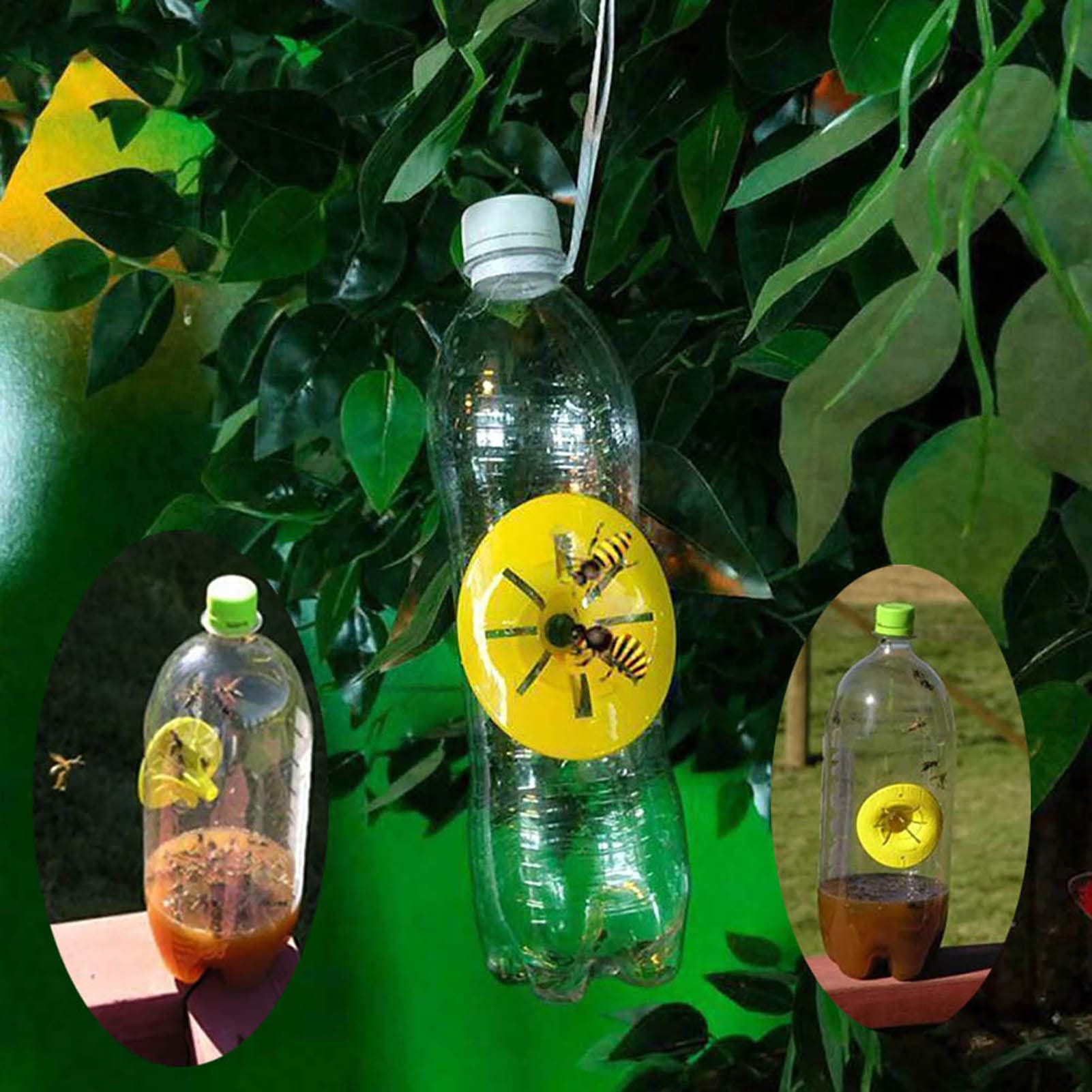 SKAbod 10Pack Hornet Traps Outdoor Hanging Indoor Outdoor Reusable Wasp Traps Hornet Hanging for Yellow Jackets Bee Catcher